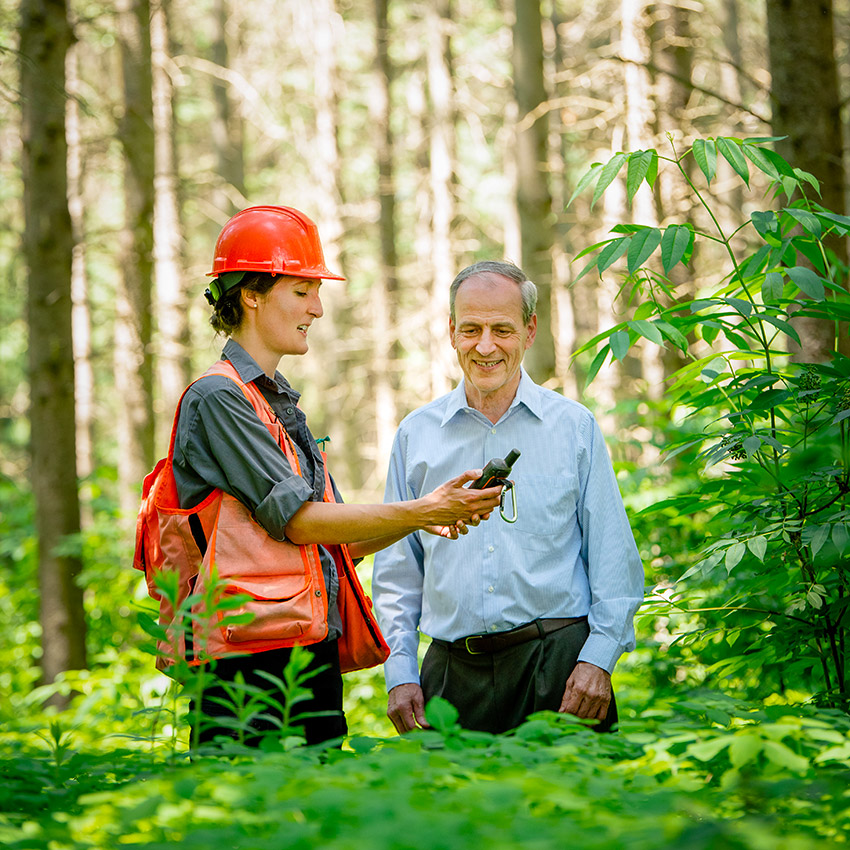 Un technicien forestier montre des relevés à un homme dans une forêt