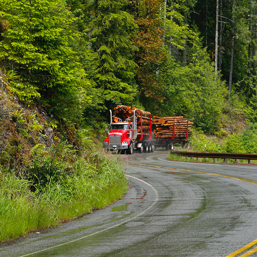 camion transportant du bois sur une route